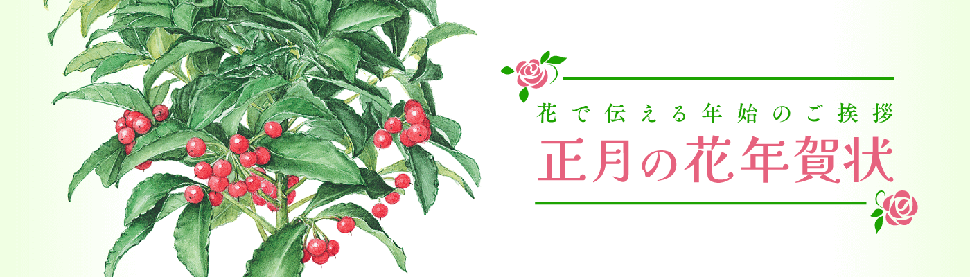 正月の花デザイン