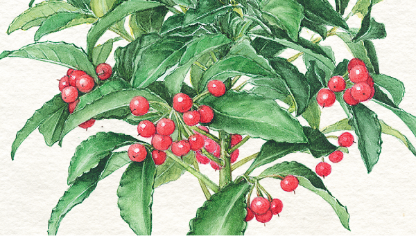 正月の花デザイン